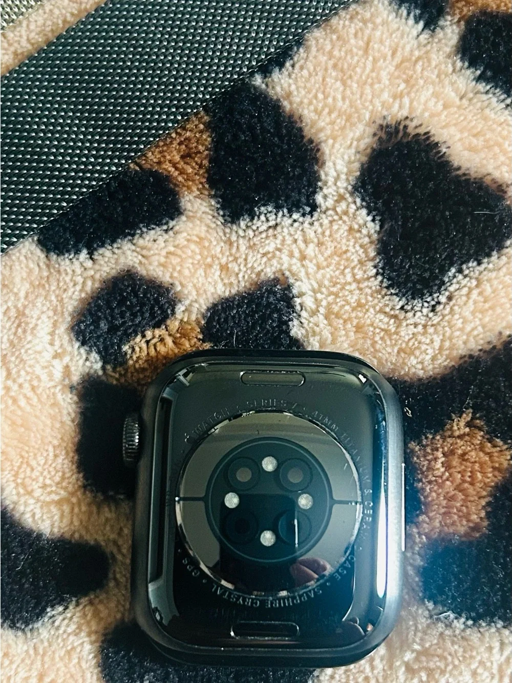 Apple Watch 7 41mm Titanium